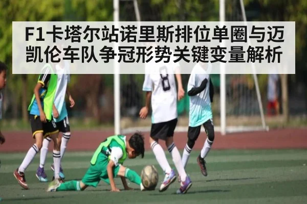F1卡塔尔站诺里斯排位单圈与迈凯伦车队争冠形势关键变量解析